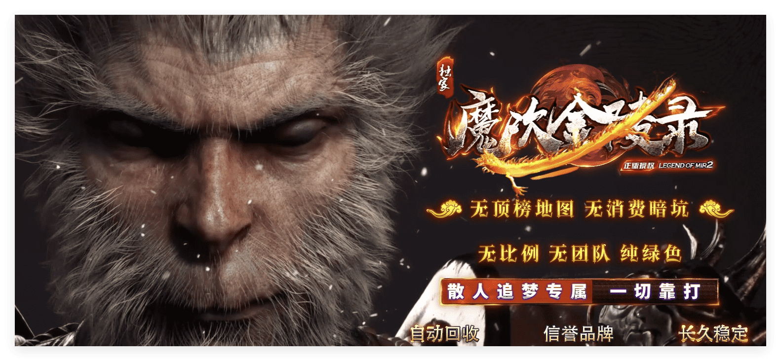 QQ20241029-154634.png